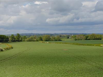 Picture 27
